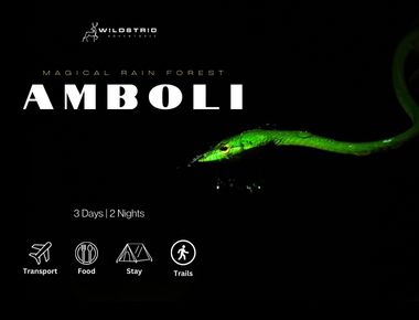 Unveil the Mysteries of Amboli