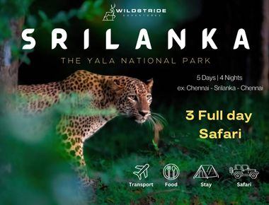 Discover the Wilds of Yala