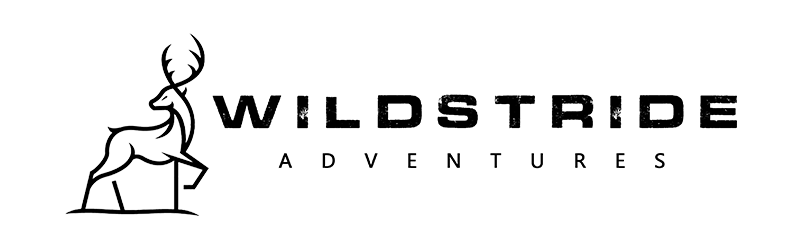 Wildstride logo